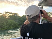 IMG 2585  at the rookery