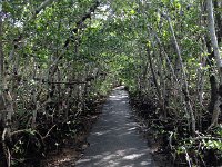 IMG 4749  Exercise outing to Matheson Hammock