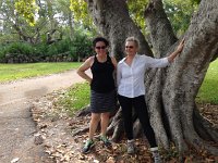 IMG 4759  under the banyan