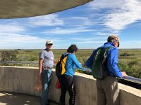 IMG 2450  a tower from which to see the surrounding Everglades