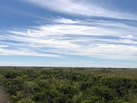 IMG 2454  blanket of clouds over a sea of grass