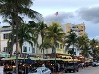 IMG 2468  Along Ocean Boulevard