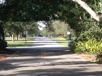 IMG 4689  looking the other way