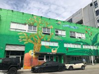 IMG 2505  and murals everywhere