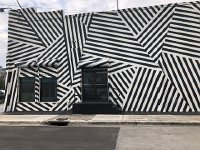 IMG 2548  Wynwood