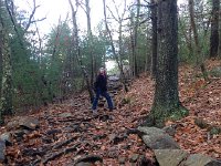 IMG 4268  Kelsey and Deirdre went off to Lenox for a weekend retreat, while Rich, Greg and Christine go to the Blue Hills: roots as traii