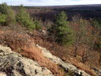 IMG 4270  this &#34;hill&#34; is here as a result of these rocks, showing as outcrops in a few places