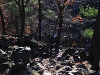 IMG 4274  pierrier-like in some places