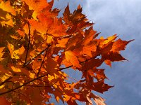 IMG 1371  come on! don&#39;t we have enough?