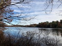 IMG 1376  water feature