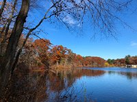 IMG 1377  leaves and water