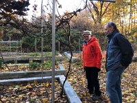 IMG 1383  Raised beds