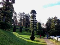 IMG 4251  topiary on the lake shore