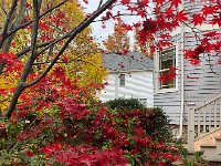 IMG 1403  Fall splendor