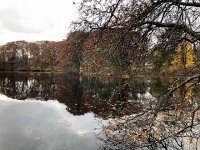 IMG 1407  painting or real life?