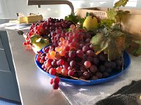IMG 0504  grapes from their vines with cheese from the Fromathek in Martigny