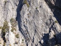 IMG 4028  the trail runs through this