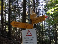 IMG 4032  full disclosure