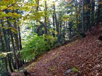 IMG 4040  quite beautiful