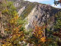IMG 4042  fall colors on the downward trail
