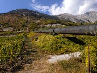 IMG 4046  looking up the steep penstock on the slope of Haut de Cry