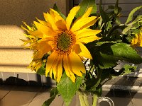 IMG 0556  the bouquet survived