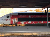 IMG 4085  for the upcoming Fête des Vignerons