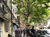 IMG 0687  Pipa and Raphael in French Concession