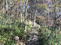 IMG 0726  now in the sun above the clouds