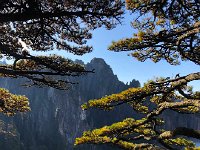 IMG 0762  Sea of Clouds