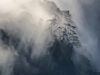 IMG 0773  Sea of Clouds