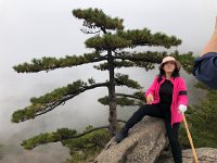 IMG 0780  but lots of company