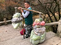 IMG 0785  all wet vegetables