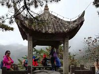 IMG 4133  what it looked like up close