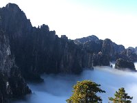 IMG 6893  so archetypical!