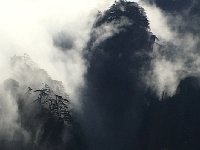 IMG 6897  another Japanese-style scroll painting