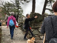 IMG 6904  After lunch, out a different way