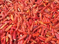 IMG 6986  makes you sneeze just looking at &#39;em