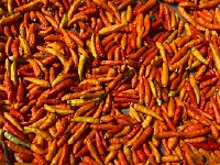 IMG 0861  these we know