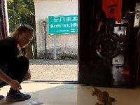 IMG 0869  Some people just can&#39;t pull themselves away from the kittens