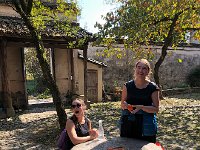 IMG 0875  Sisters in the yard