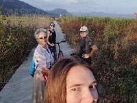 IMG 4147  Out where the mulberries are being replaced by rice