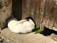 IMG 7030  Trying to get comfy