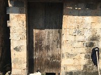 IMG 7032  cat and dog