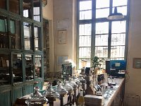 IMG 7037  is still attractive