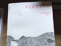 IMG 7048  lovely book cover