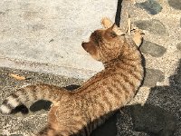 IMG 7065  so much more active than the other ones