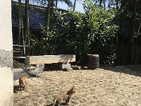 IMG 7067  looking for trouble