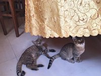 IMG 7071  maybe I just jump up