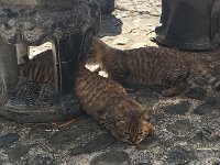 IMG 7080  Time for a break